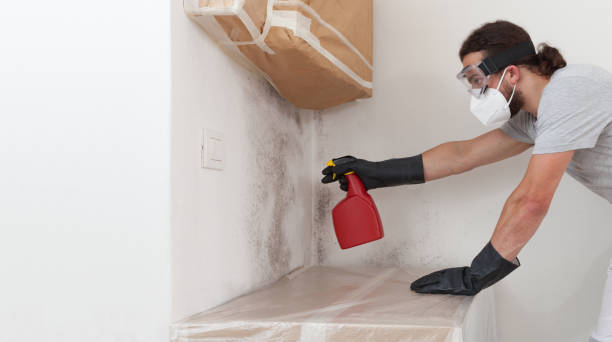 Professional Black Mold Remediation technician working in Portland, TX